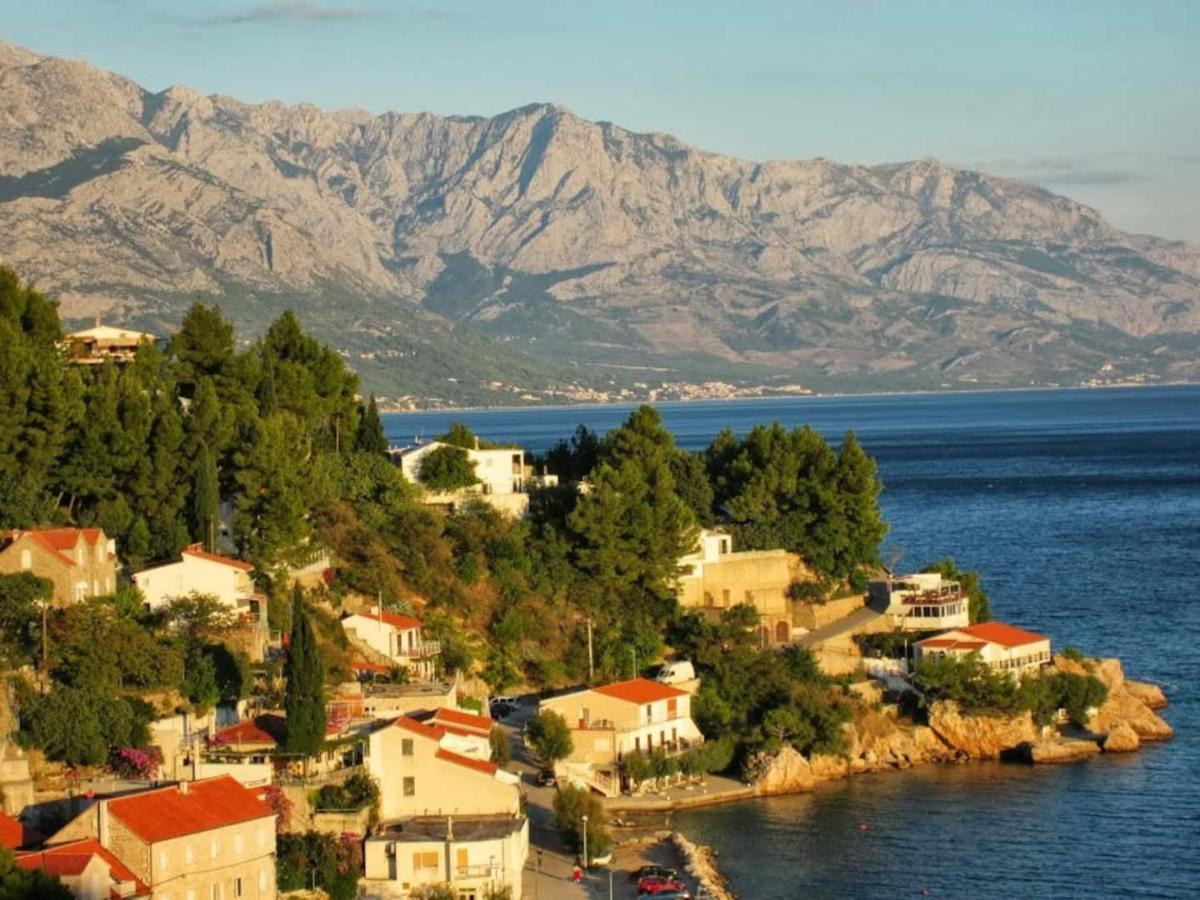 Ventula Daire Mimice Dış mekan fotoğraf
