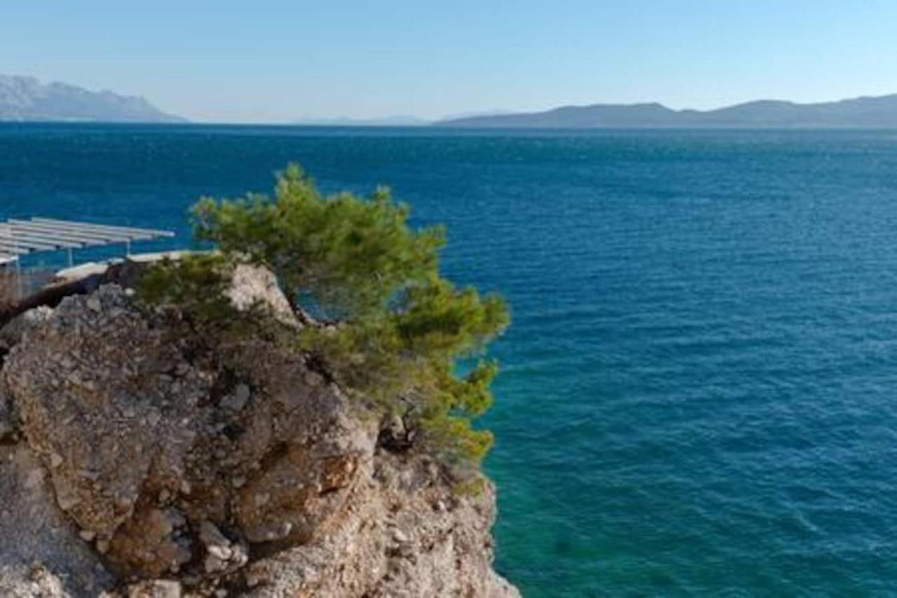Ventula Daire Mimice Dış mekan fotoğraf