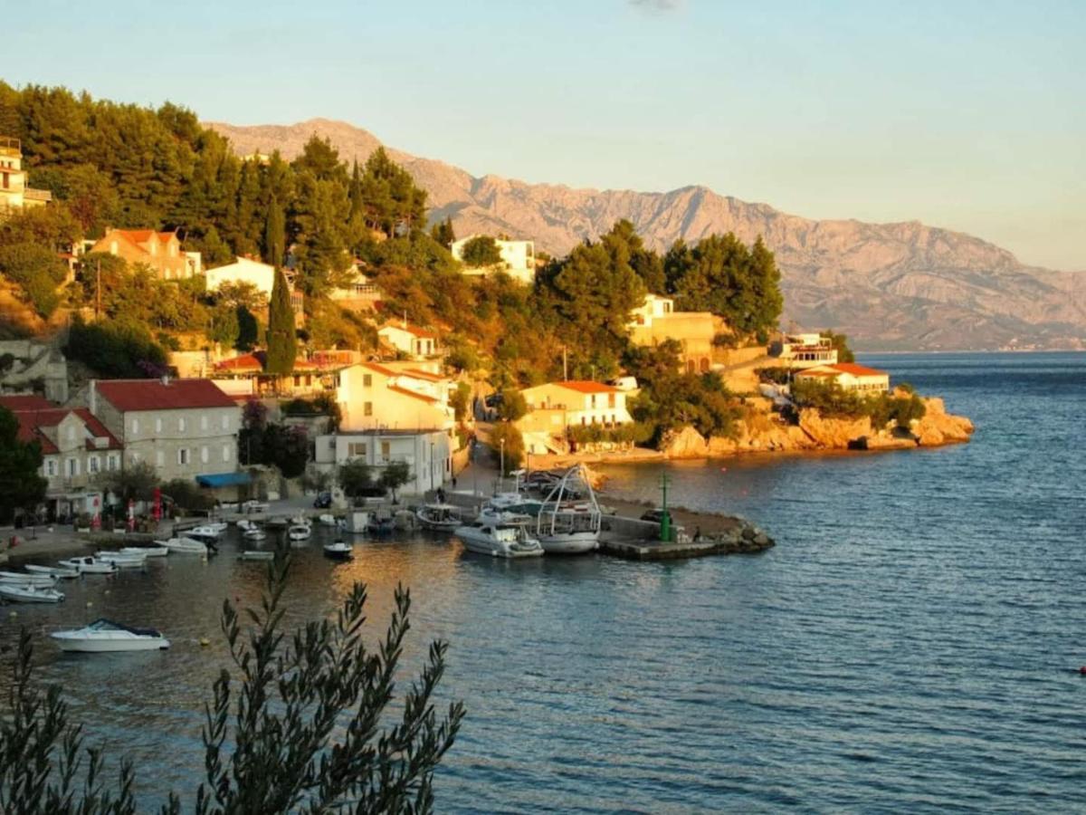 Ventula Daire Mimice Dış mekan fotoğraf
